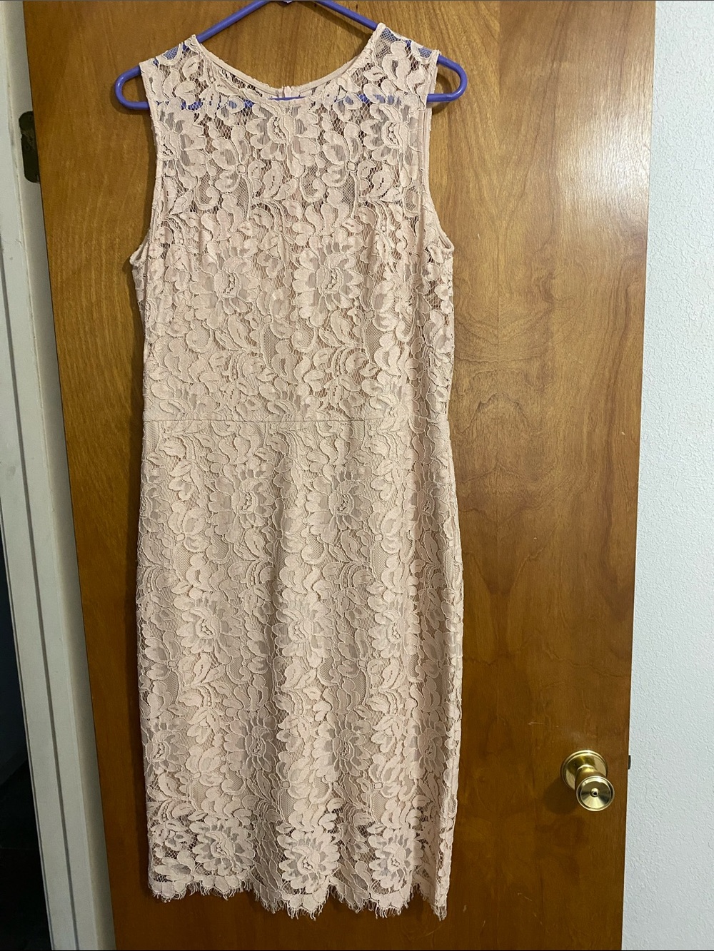 Ralph Lauren Blush Pink Floral Lace Sheath Dress